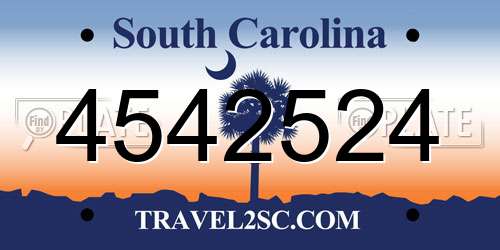4542524 South Carolina License Plate