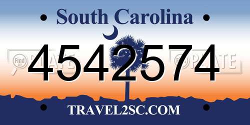 4542574 South Carolina License Plate