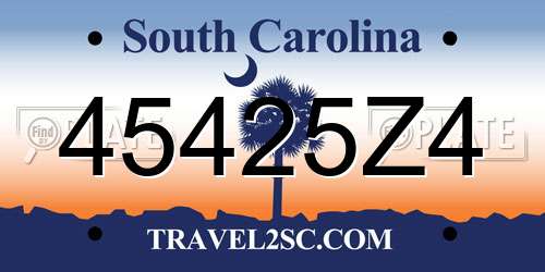 45425Z4 South Carolina License Plate