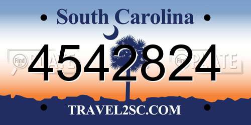 4542824 South Carolina License Plate