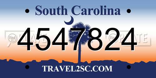 4547824 South Carolina License Plate