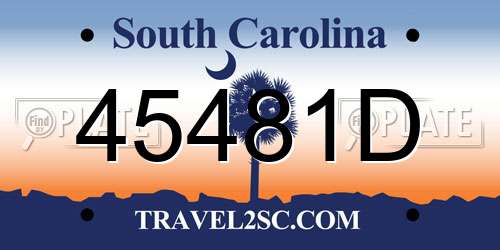 45481D South Carolina License Plate