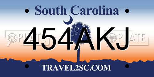 454AKJ South Carolina License Plate