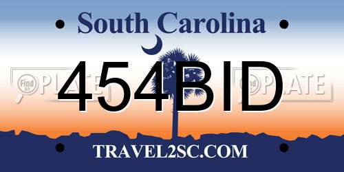 454BID South Carolina License Plate
