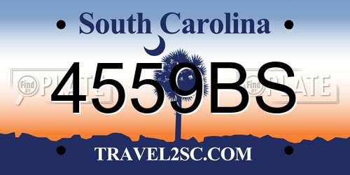 4559BS South Carolina License Plate