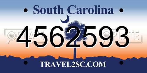 4562593 South Carolina License Plate