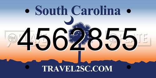 4562855 South Carolina License Plate