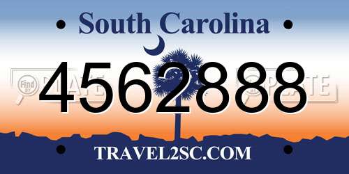 4562888 South Carolina License Plate