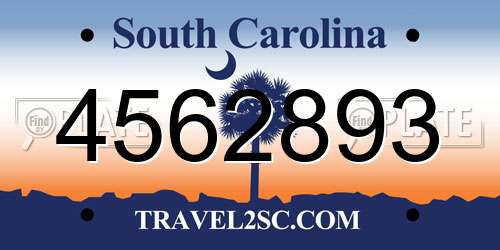4562893 South Carolina License Plate