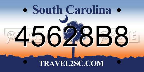 45628B8 South Carolina License Plate