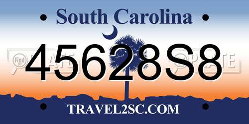 45628S8 South Carolina License Plate