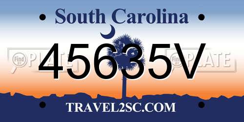 45635V South Carolina License Plate