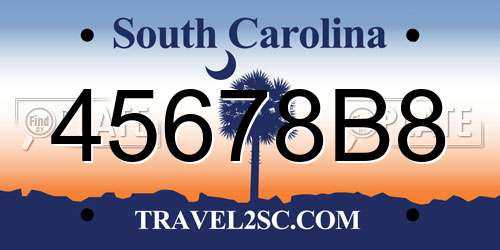 45678B8 South Carolina License Plate