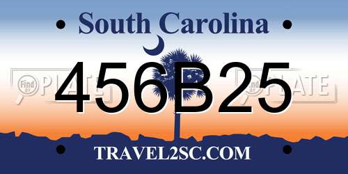 456B25 South Carolina License Plate