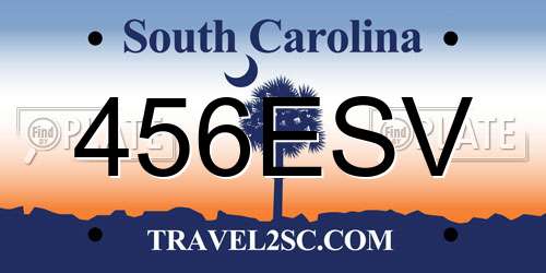 456ESV South Carolina License Plate