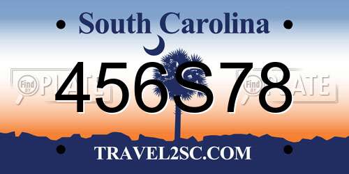 456S78 South Carolina License Plate