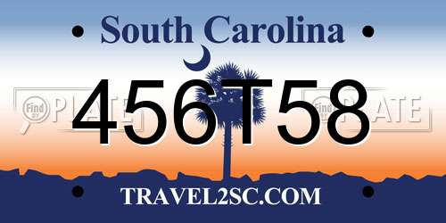 456T58 South Carolina License Plate