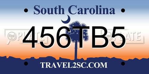 456TB5 South Carolina License Plate