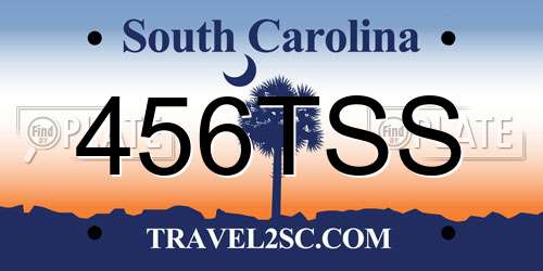 456TSS South Carolina License Plate