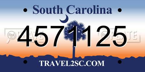 4571125 South Carolina License Plate