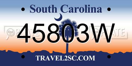 45803W South Carolina License Plate