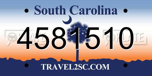 4581510 South Carolina License Plate