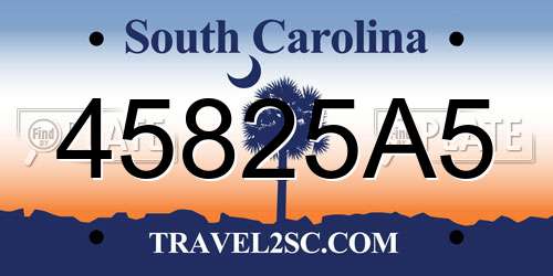 45825A5 South Carolina License Plate