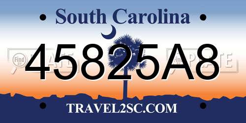 45825A8 South Carolina License Plate