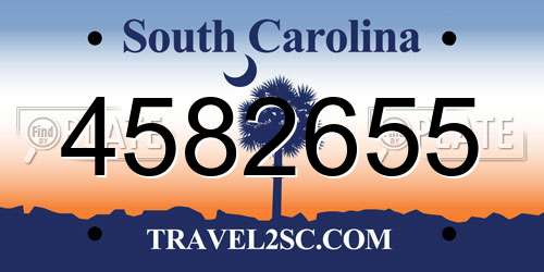 4582655 South Carolina License Plate