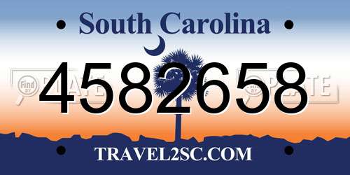 4582658 South Carolina License Plate
