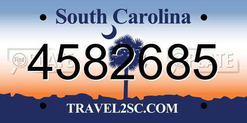 4582685 South Carolina License Plate