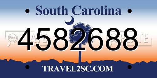 4582688 South Carolina License Plate