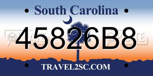 45826B8 South Carolina License Plate