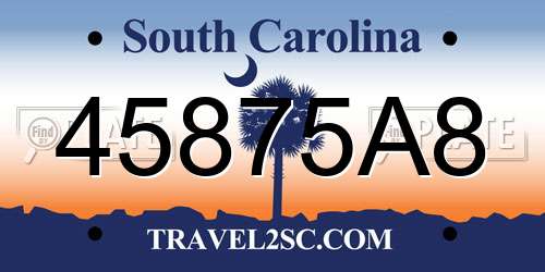 45875A8 South Carolina License Plate