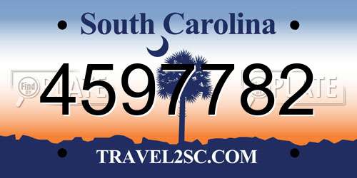 4597782 South Carolina License Plate
