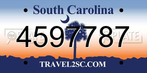 4597787 South Carolina License Plate