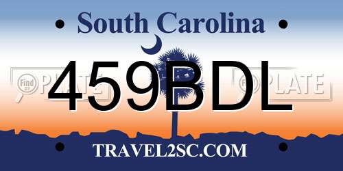 459BDL South Carolina License Plate