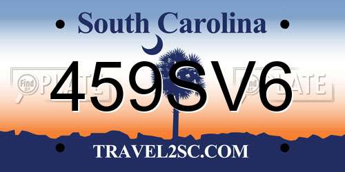 459SV6 South Carolina License Plate
