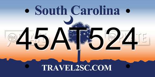 45AT524 South Carolina License Plate