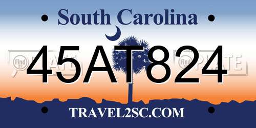 45AT824 South Carolina License Plate