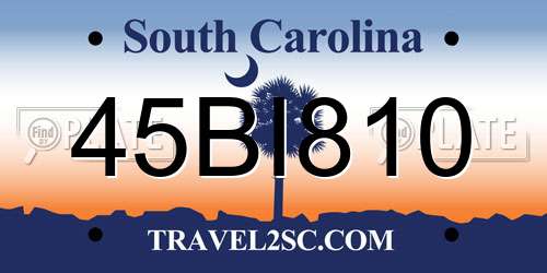 45BI810 South Carolina License Plate