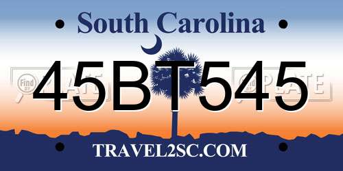 45BT545 South Carolina License Plate