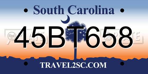 45BT658 South Carolina License Plate