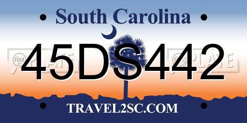 45DS442 South Carolina License Plate