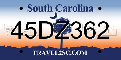 45DZ362 South Carolina License Plate