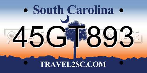 45GT893 South Carolina License Plate
