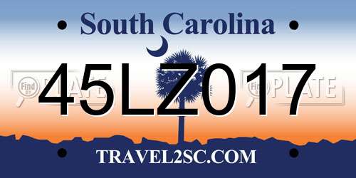 45LZ017 South Carolina License Plate