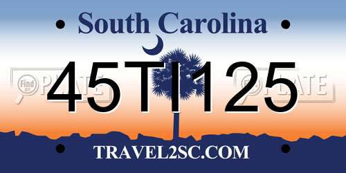 45TI125 South Carolina License Plate
