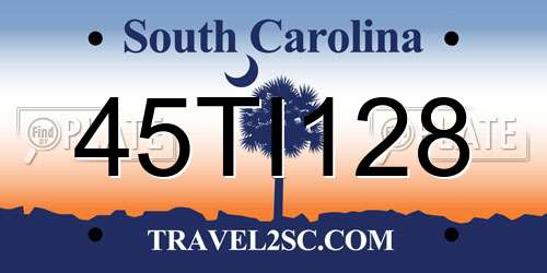 45TI128 South Carolina License Plate