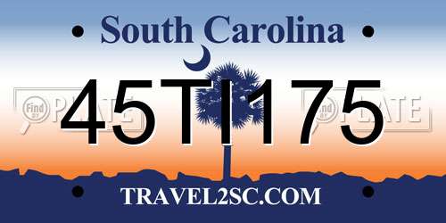 45TI175 South Carolina License Plate